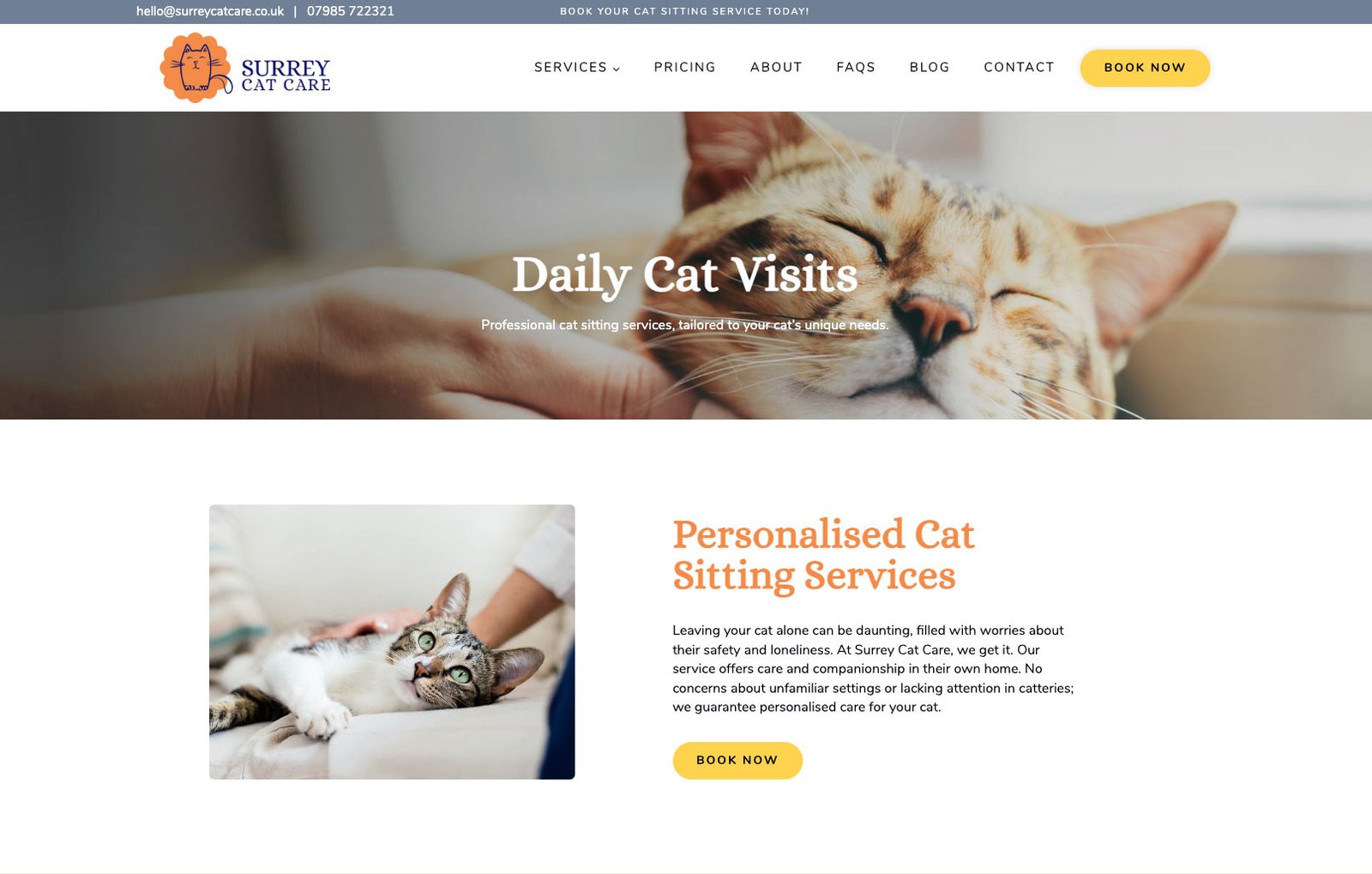 Cat Care | Surrey Cat Care